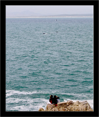 Hermanus_005.jpg