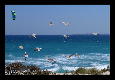 Flight 2