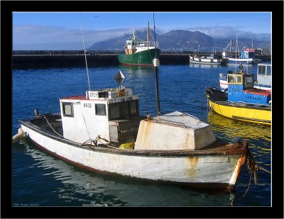 Kalk Bay Harbour002.jpg