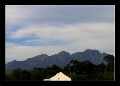 Spier_011.jpg