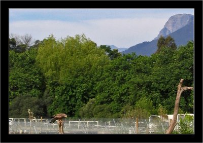 Spier_012