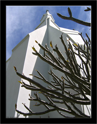 Stellenbosch_009.jpg