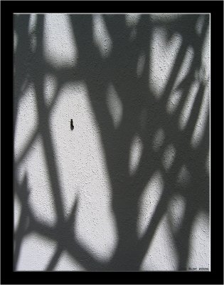 Stellenbosch_010.jpg