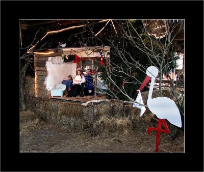 Nativity Dutch Style