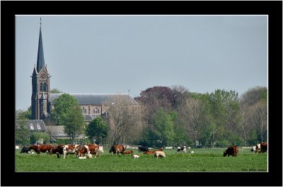 Spring in Stompwijk_001.jpg