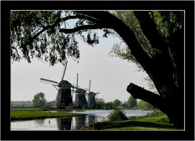 Spring in Stompwijk_002.jpg
