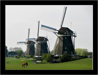Spring in Stompwijk_003.jpg