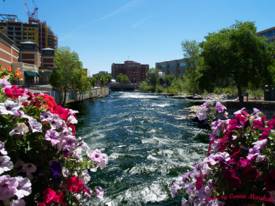The River Walk in Downtown Reno.... very nice
