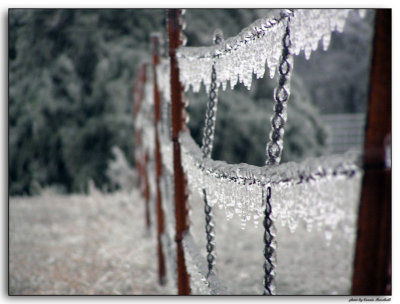 Barb Wire Ice