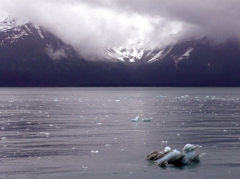 Disenchantment Bay