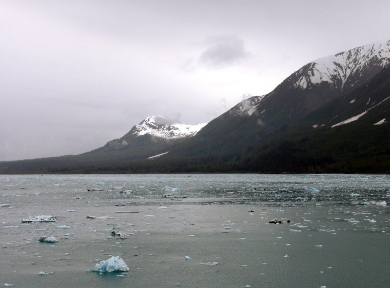 Disenchantment Bay