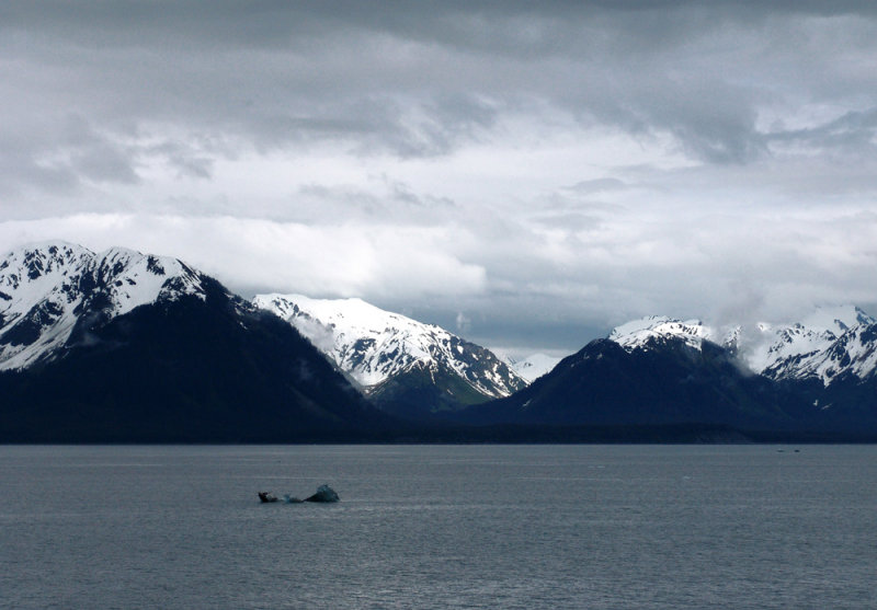 Disenchantment Bay
