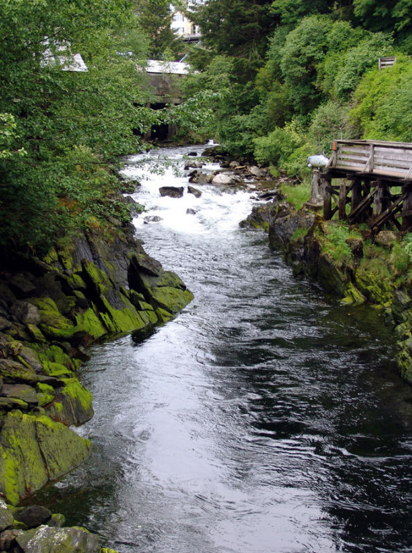 Ketchikan Creek