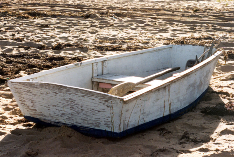 Beached 2