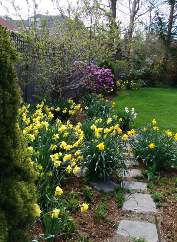 Garden path