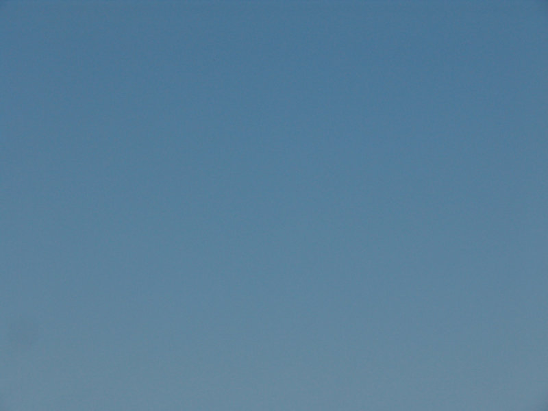 Morning blue