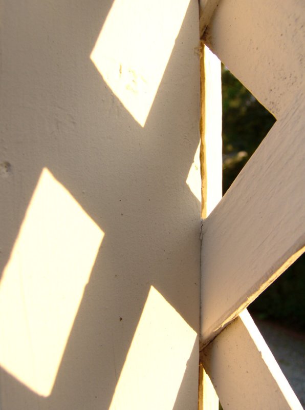 lattice