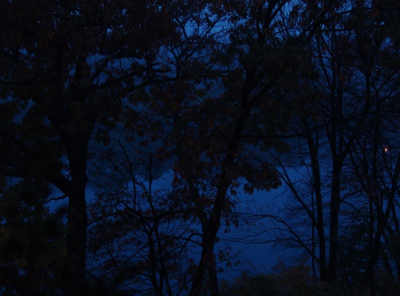 in blue