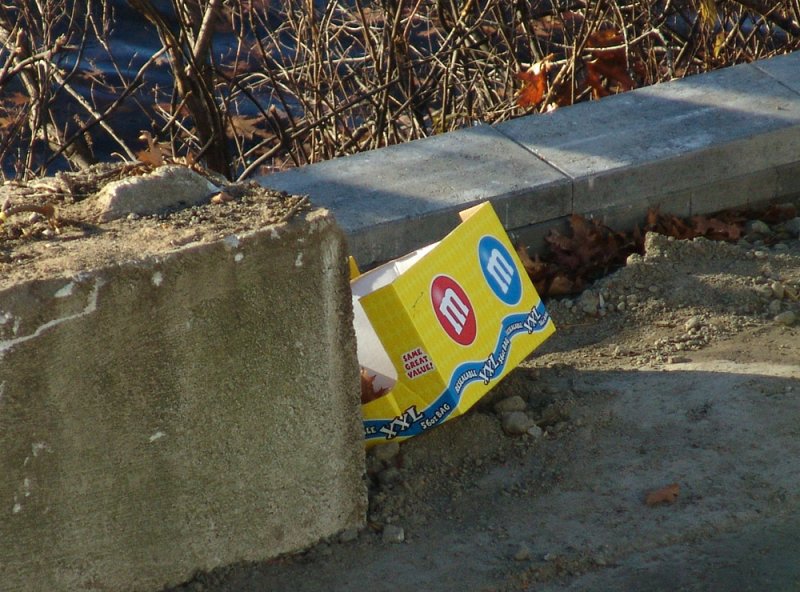 rebound of the litter-bug population