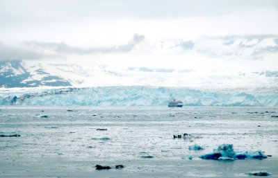 Hubbard Glacier