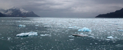 Disenchantment Bay