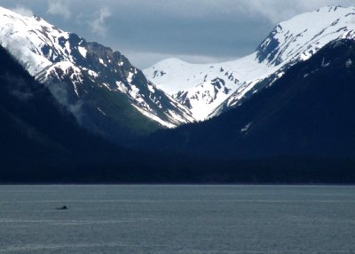 Disenchantment Bay