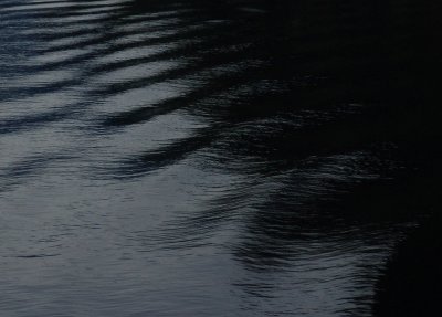 Wake