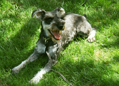 Scupper
