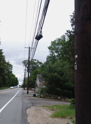 g6/71/685571/3/80516957.mYbHEVPb.jpg