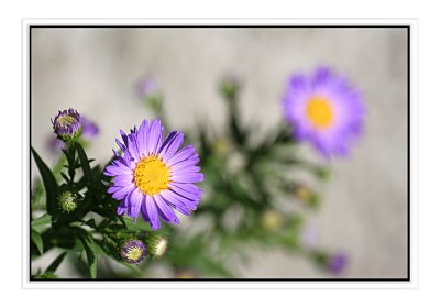 g6/71/716571/3/85089408.SbOdvB7X.jpg
