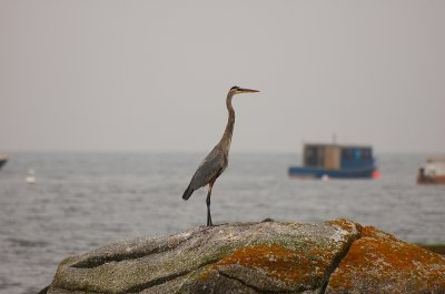 Off Queensland