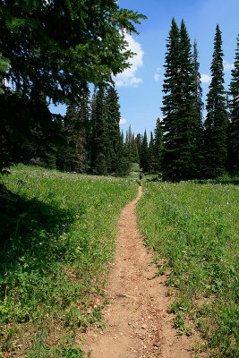 Begining of the Trail, Phillips Canyon.jpg