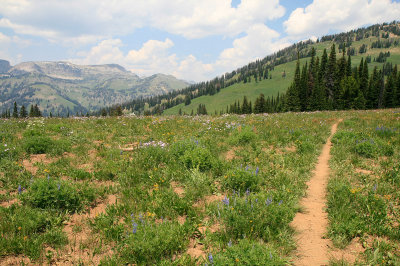 Phillips Pass.jpg