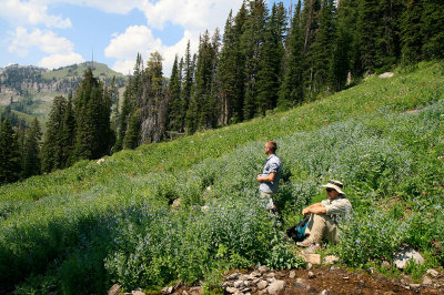 Water Break near Moose Meadows.jpg