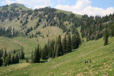 Moose Meadows Area.jpg
