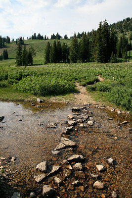 070708-162153-8862.jpg