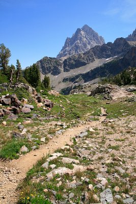 Cascade Canyon Trail.jpg