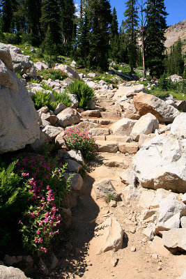 Heathers Trail To Lake Solitude.jpg