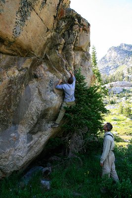 Tree Route.jpg