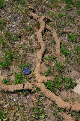 What are these dirt tubes.jpg