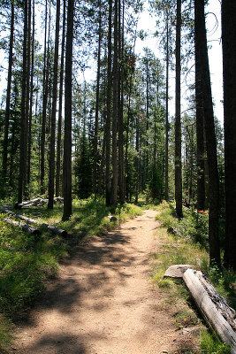 End of the Trail.jpg