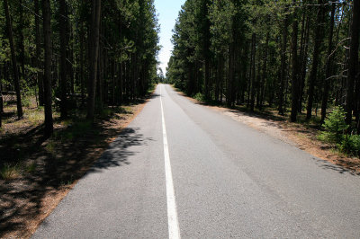 Bummer hiking the road.jpg