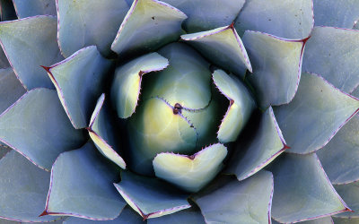 2005-05-11