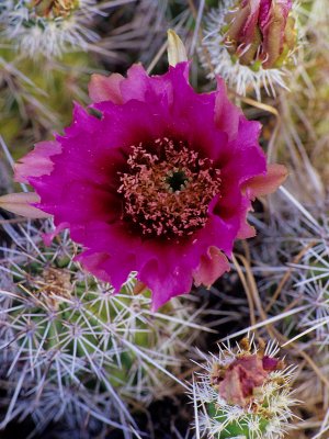 2005