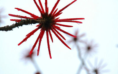 DSC_0027-pp.jpg