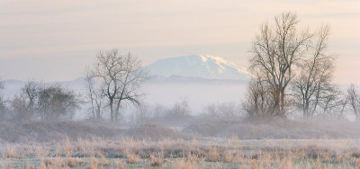 Mt St Helens