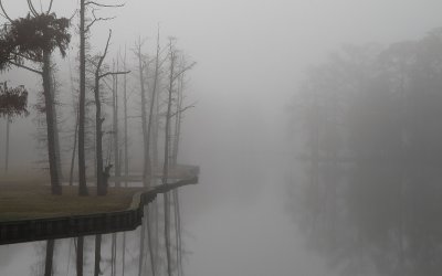 IMG_6933.jpg