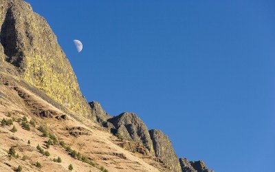 Abert Rim