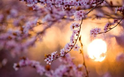 Spring
