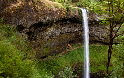 Silver Falls Park